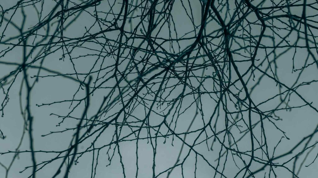 abstract image to symbolise nervous system regulation